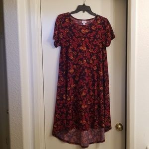 LuLaRoe Carly dress
